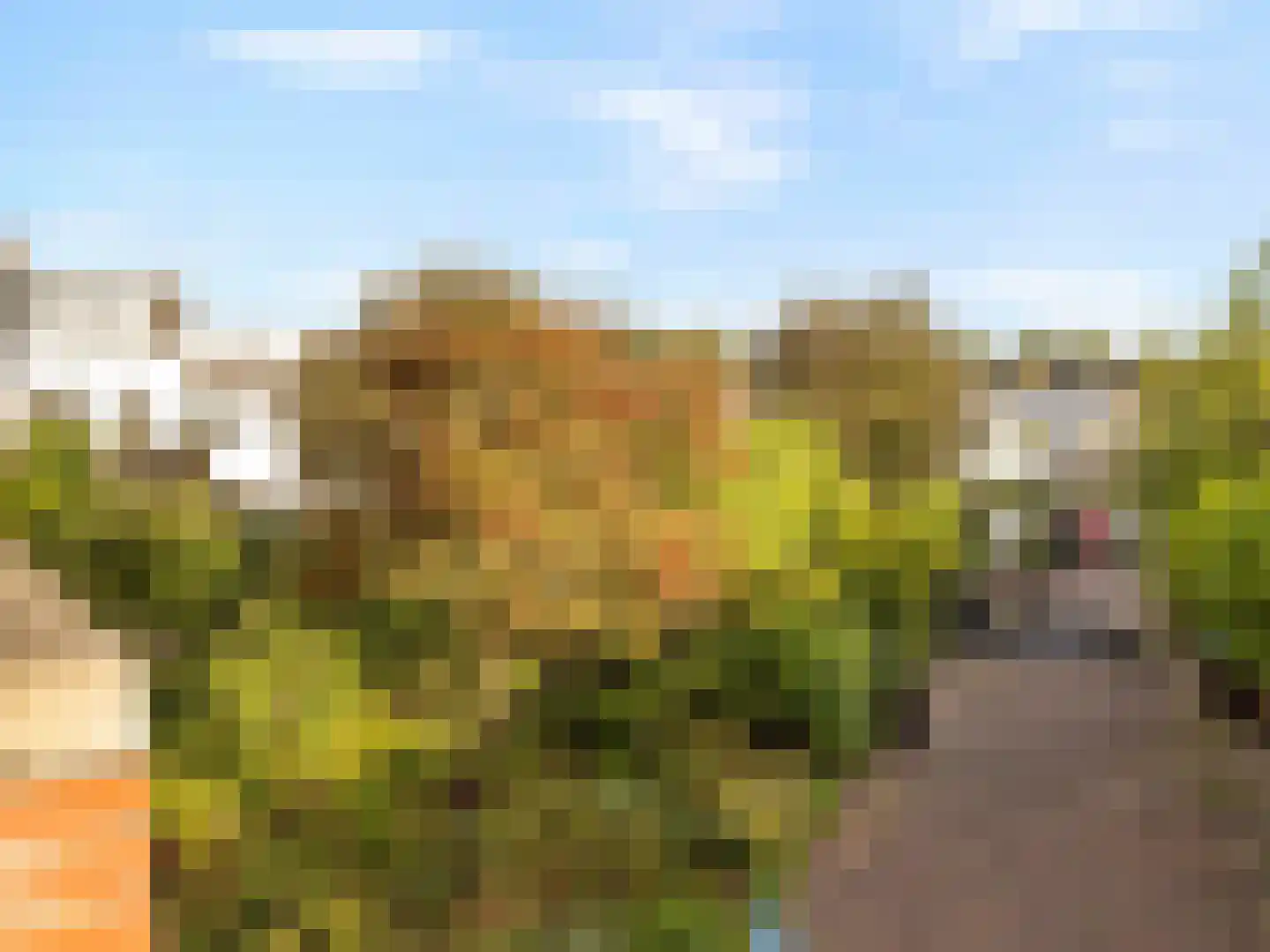 Amsterdamsestraatweg 167 K Utrecht thumbnail 29