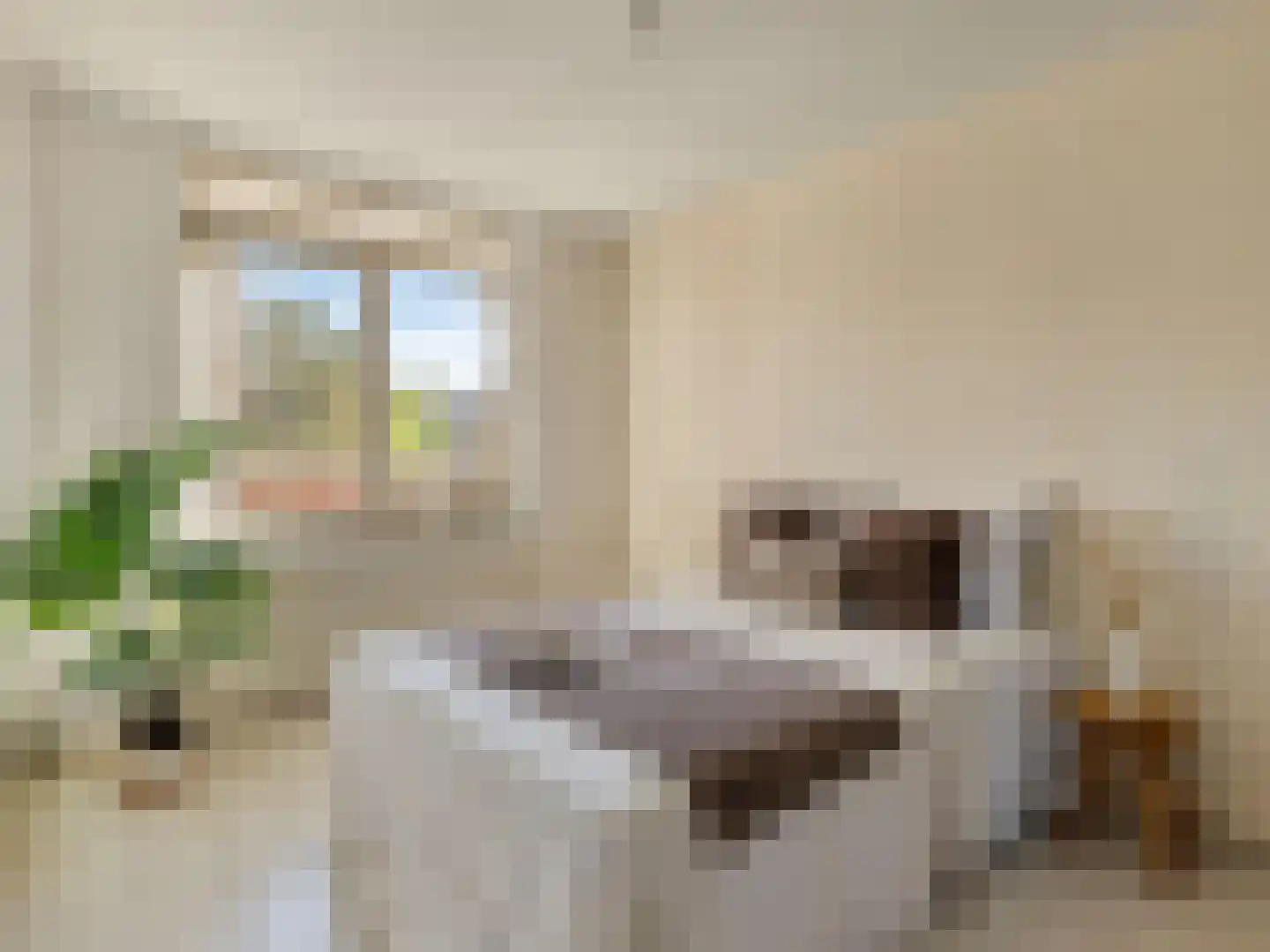 Amsterdamsestraatweg 167 K Utrecht thumbnail 6