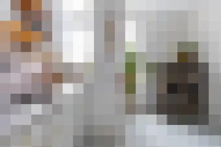 Amsterdamsestraatweg 214 BS Utrecht thumbnail 17