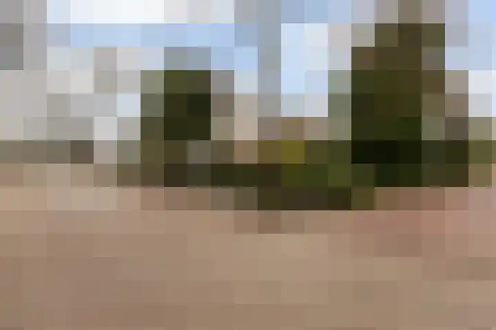 Amsterdamsestraatweg 22 Muiden thumbnail 5