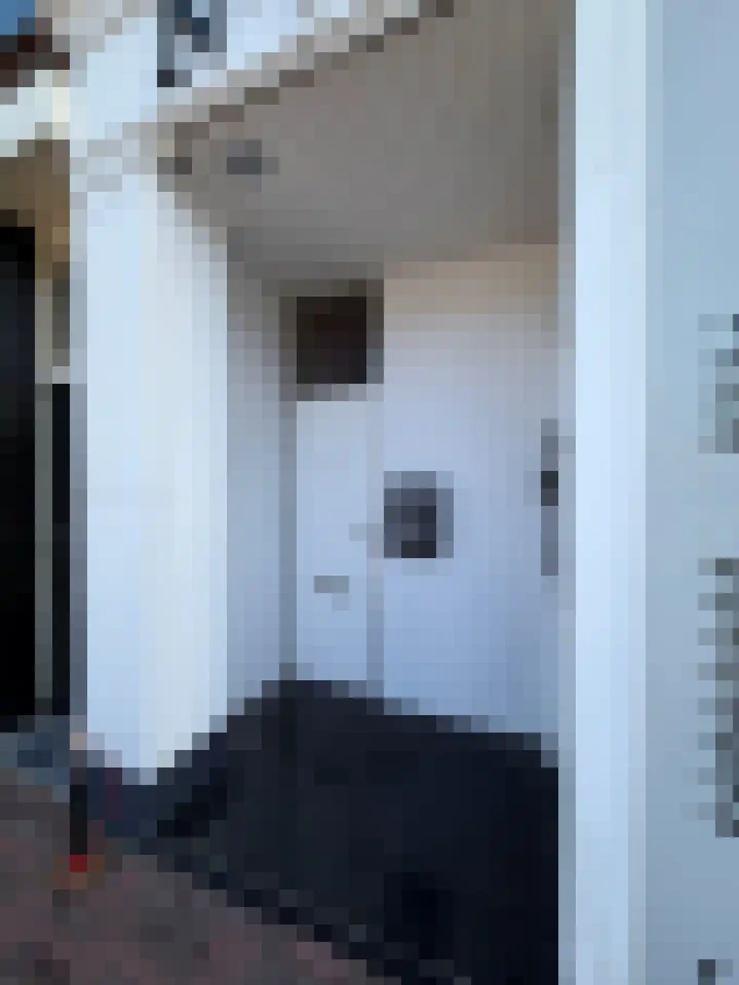 Amsterdamsestraatweg 259 BS Utrecht thumbnail 4