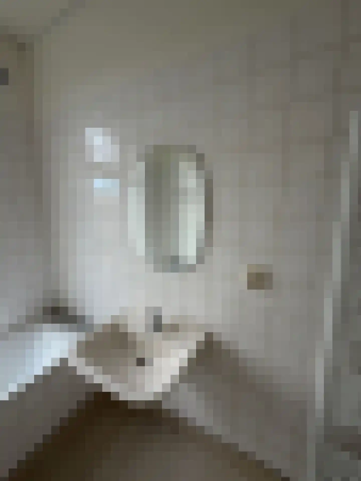 Amsterdamsestraatweg 259 BS Utrecht thumbnail 45