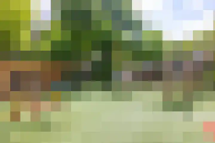 Amsterdamsestraatweg 318 Utrecht thumbnail 22