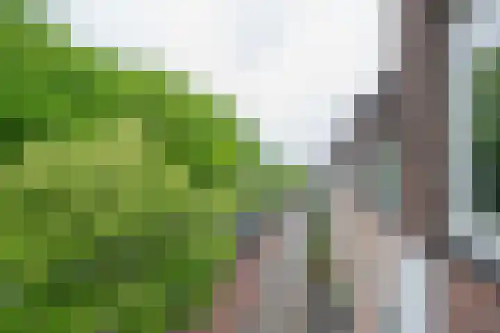 Amsterdamsestraatweg 443 A BS Utrecht thumbnail 58