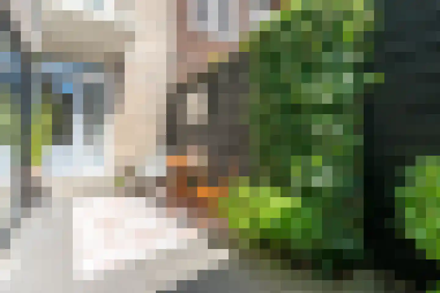 Amsterdamsestraatweg 478 Utrecht thumbnail 37