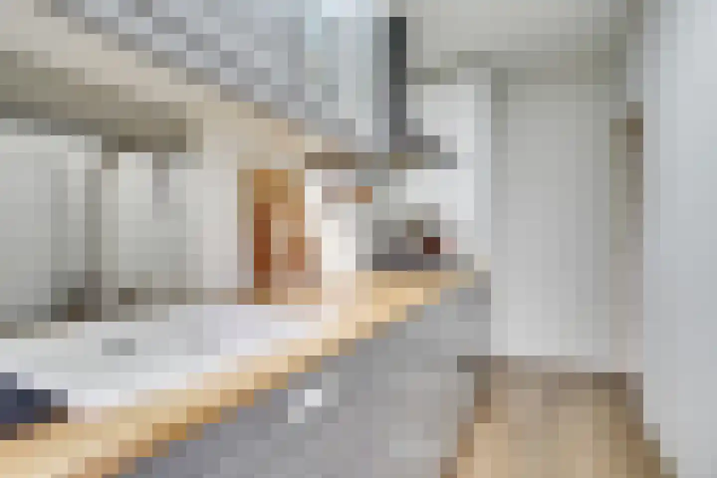Amsterdamsestraatweg 480 Utrecht thumbnail 15