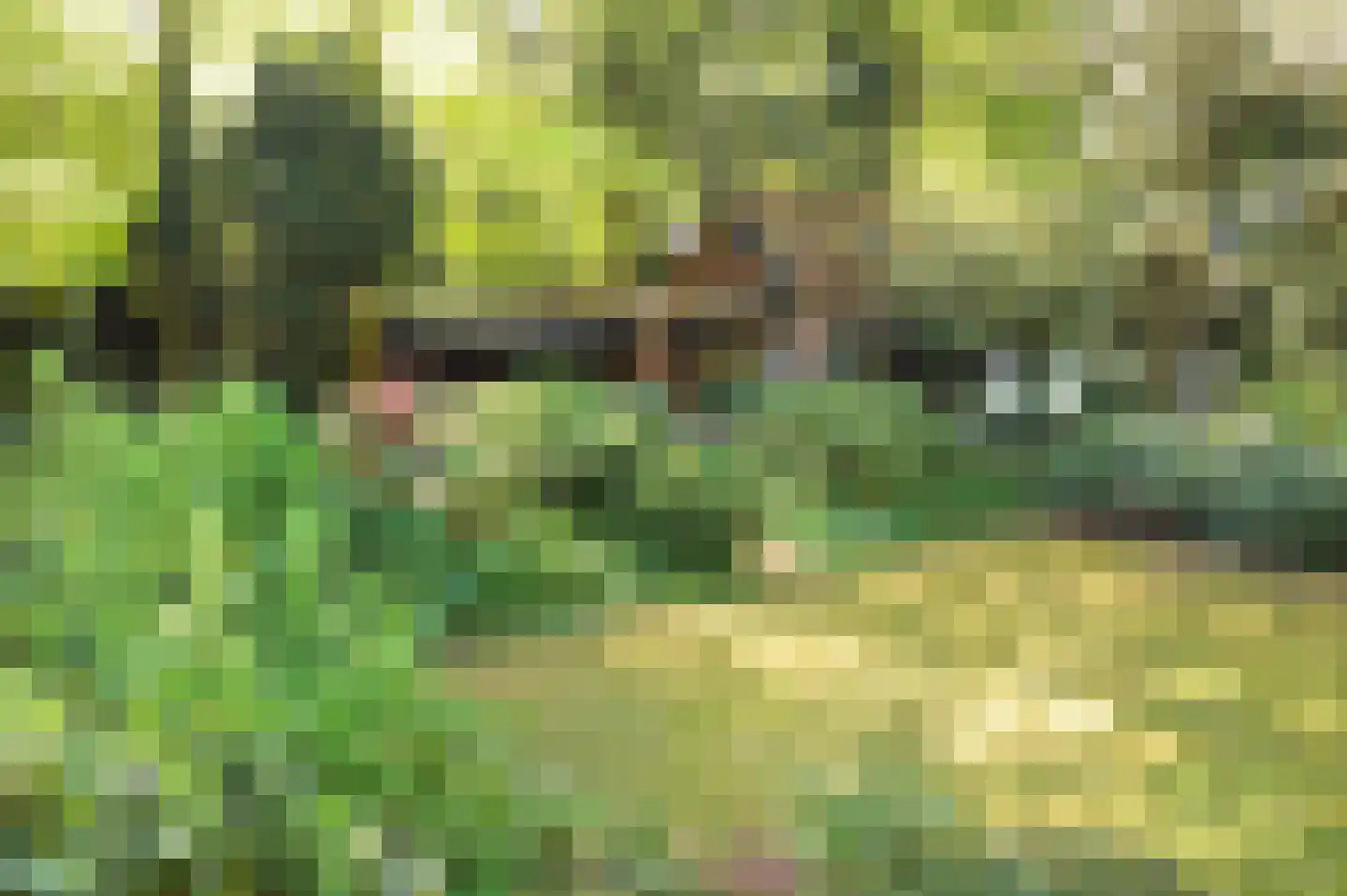 Amsterdamsestraatweg 49 Baarn thumbnail 51