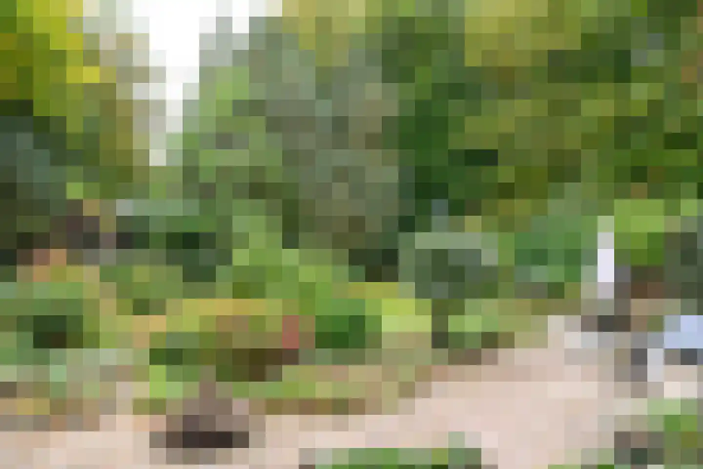 Amsterdamsestraatweg 49 Baarn thumbnail 52