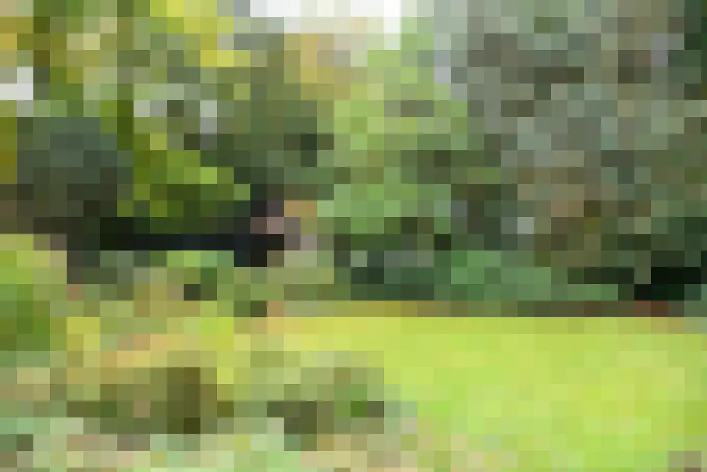 Amsterdamsestraatweg 49 Baarn thumbnail 53