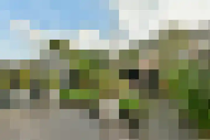 Amsterdamsestraatweg 50 Halfweg thumbnail 10