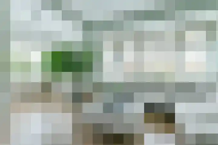 Amsterdamsestraatweg 50 Halfweg thumbnail 15
