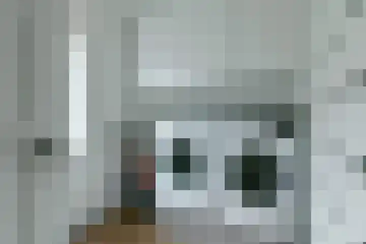 Amsterdamsestraatweg 50 Halfweg thumbnail 30