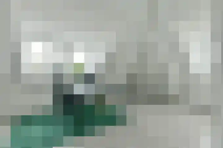 Amsterdamsestraatweg 50 Halfweg thumbnail 36