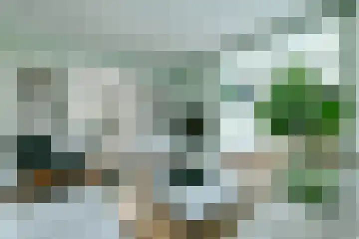 Amsterdamsestraatweg 50 Halfweg thumbnail 7