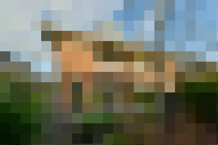 Amsterdamsestraatweg 50 Halfweg thumbnail 9