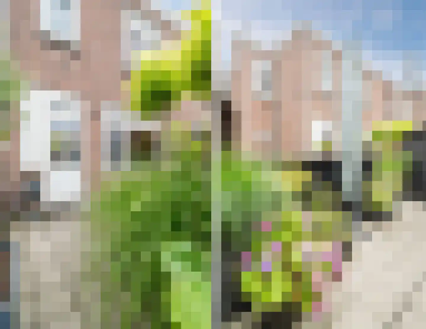 Amsterdamsestraatweg 585 Utrecht thumbnail 42