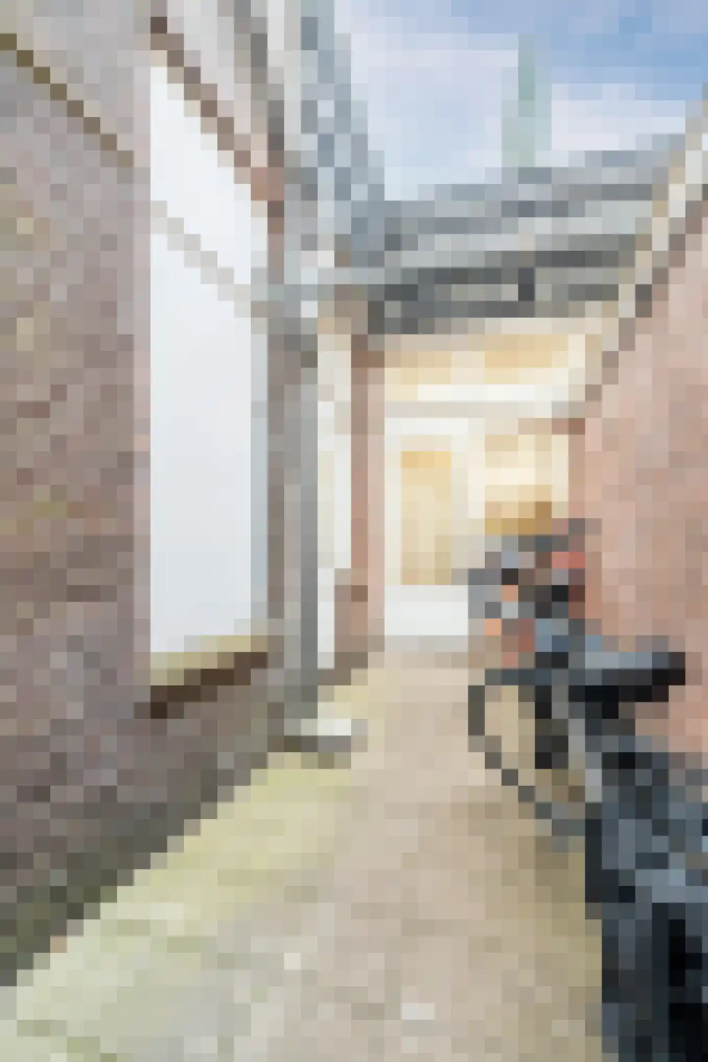 Amsterdamsestraatweg 585 Utrecht thumbnail 46