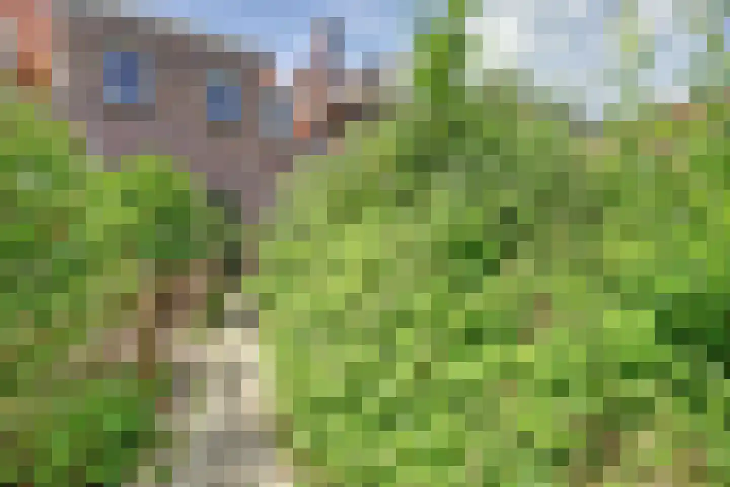 Amsterdamsestraatweg 659 Utrecht thumbnail 9