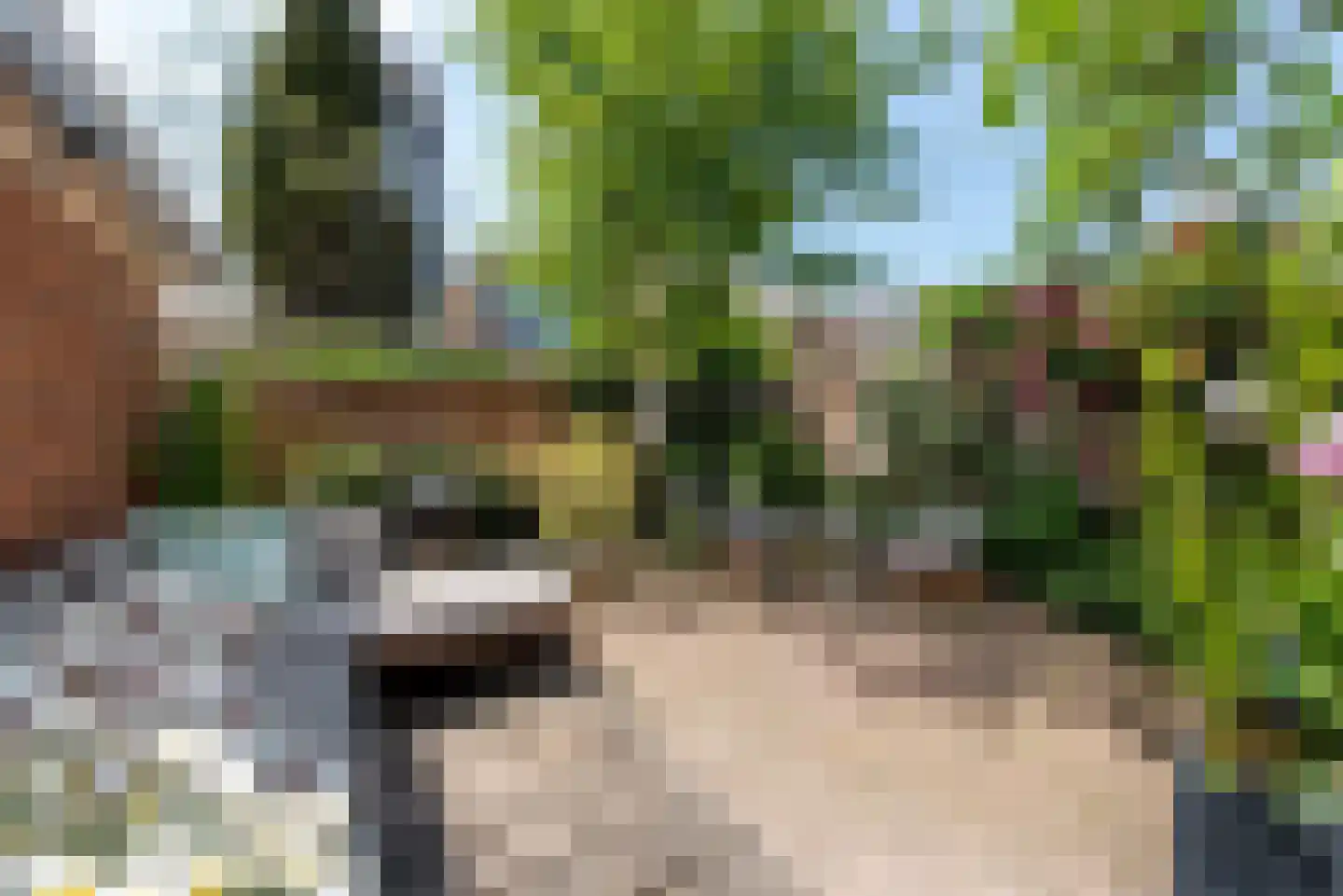 Amsterdamsestraatweg 66 Halfweg thumbnail 13