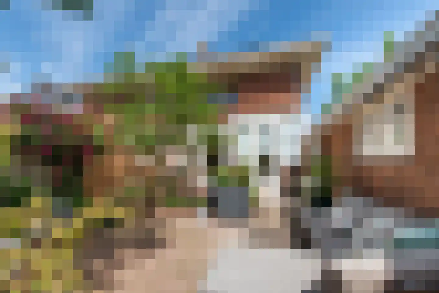 Amsterdamsestraatweg 66 Halfweg thumbnail 18