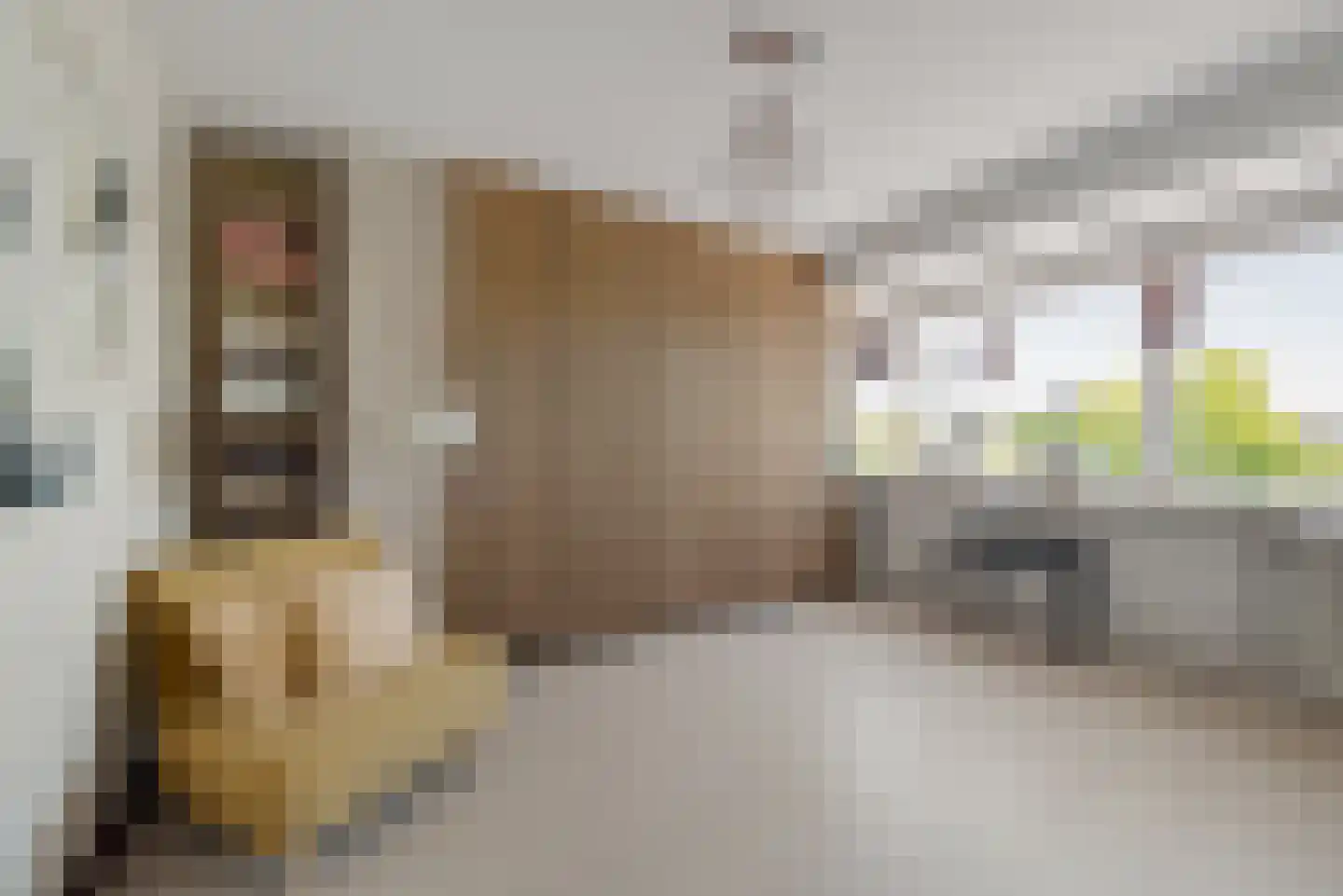Amsterdamsestraatweg 66 Halfweg thumbnail 20