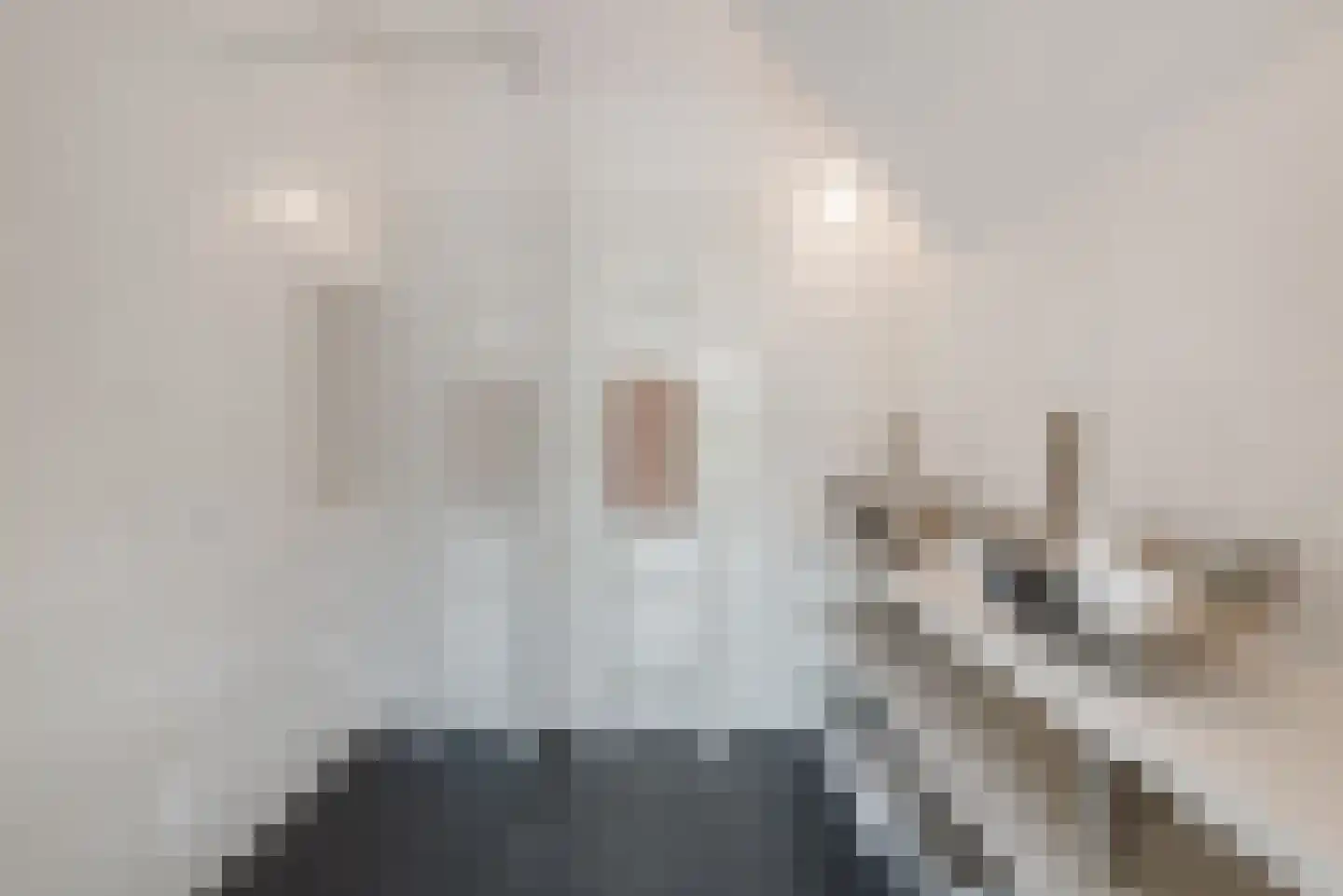 Amsterdamsestraatweg 66 Halfweg thumbnail 25