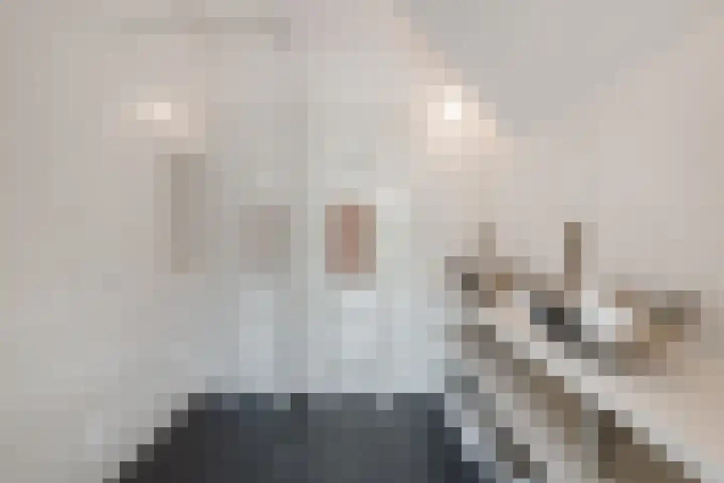 Amsterdamsestraatweg 66 Halfweg thumbnail 25