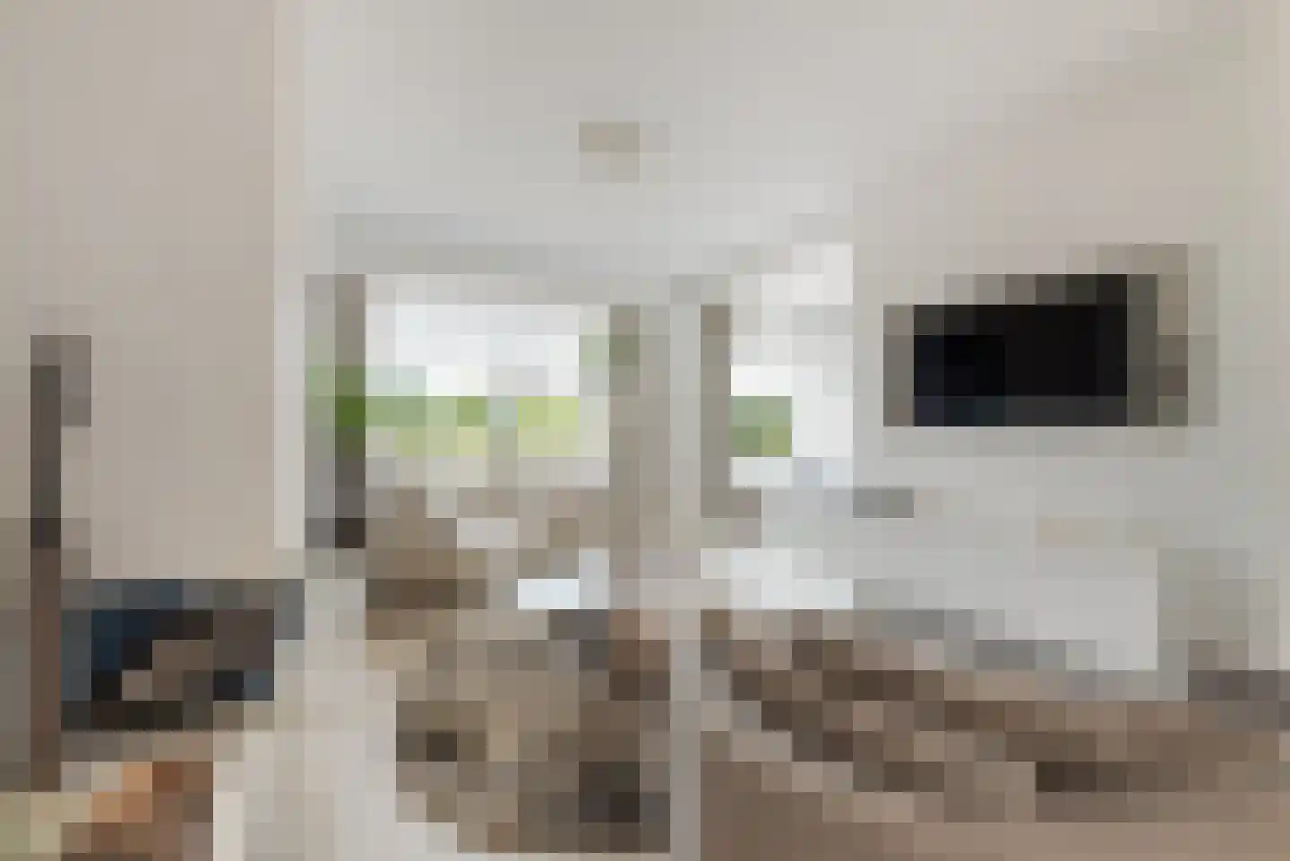 Amsterdamsestraatweg 66 Halfweg thumbnail 5