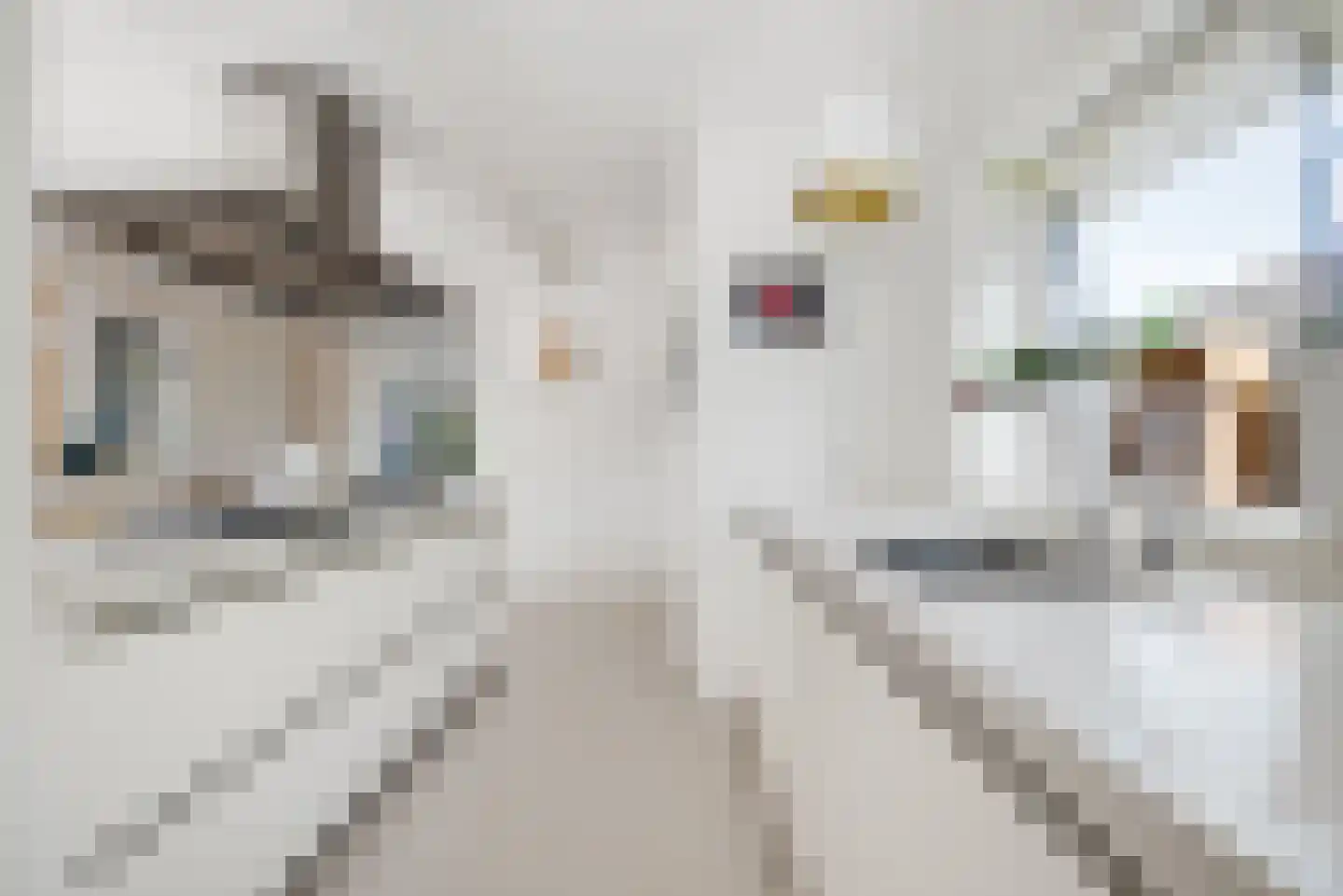 Amsterdamsestraatweg 66 Halfweg thumbnail 9
