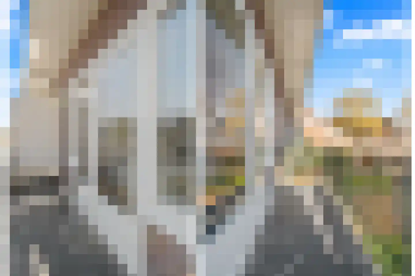 Amsterdamsestraatweg 683 Utrecht thumbnail 31