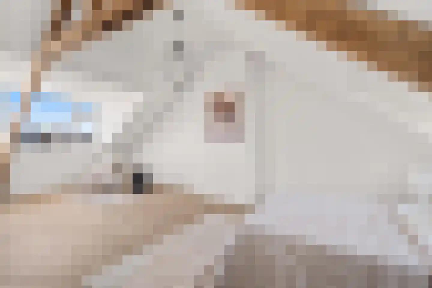 Amsterdamsestraatweg 683 Utrecht thumbnail 45