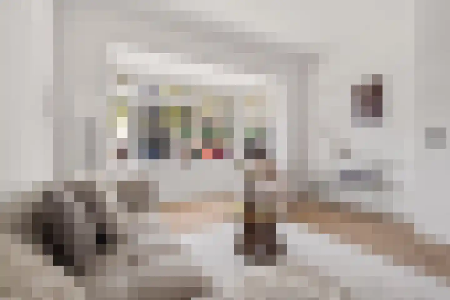 Amsterdamsestraatweg 683 Utrecht thumbnail 5