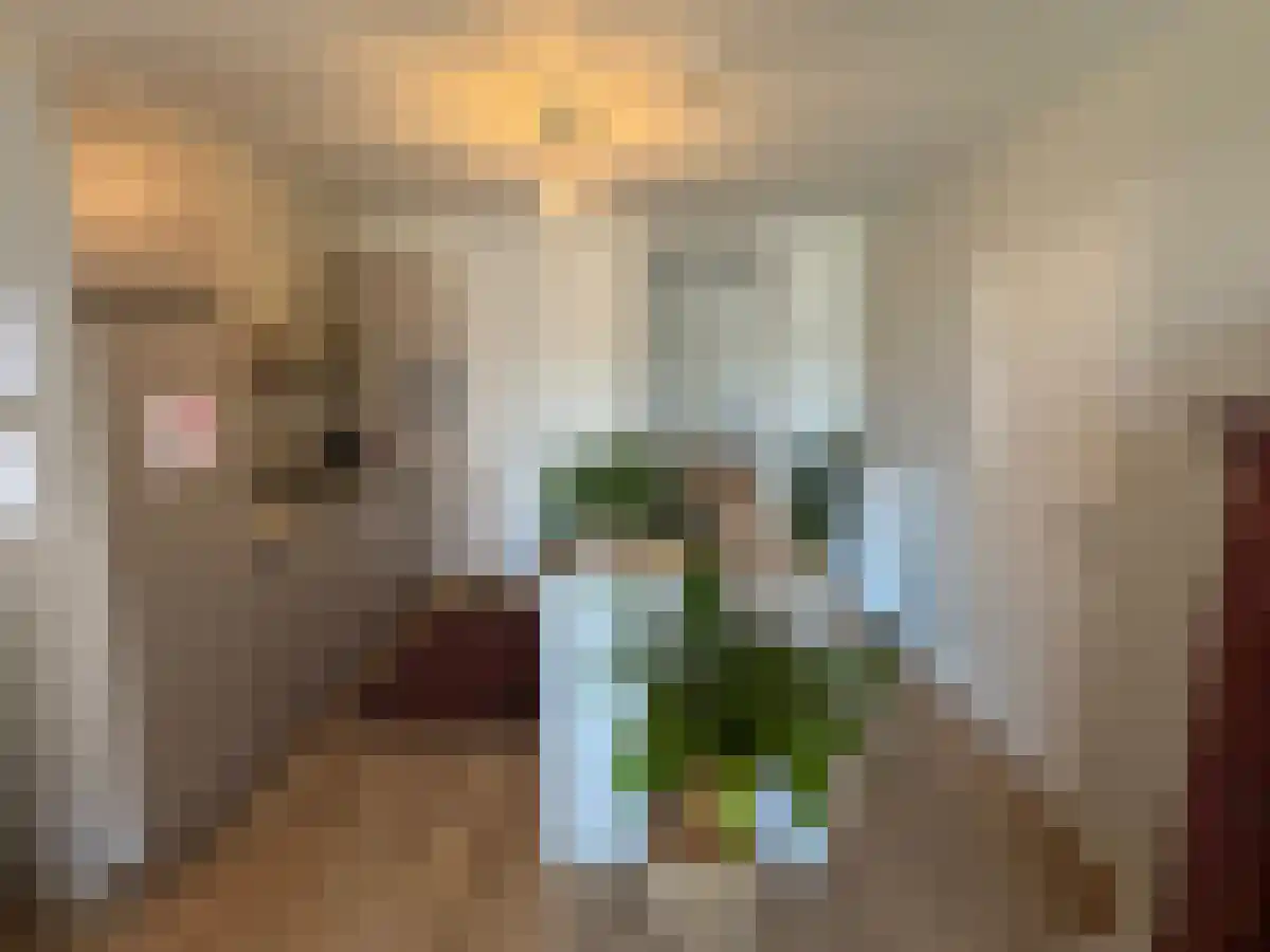 Amsterdamsestraatweg 699 D Utrecht thumbnail 5