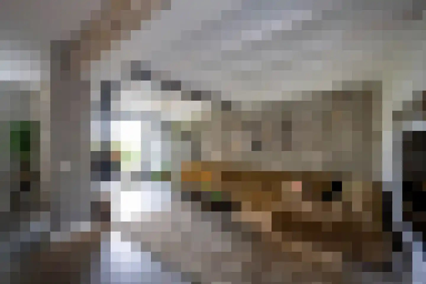 Amsterdamsestraatweg 81 Naarden thumbnail 12