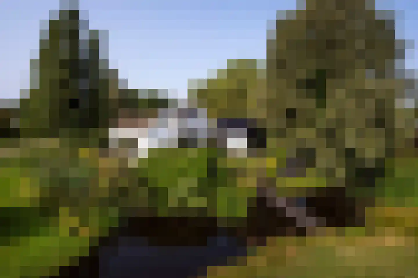 Amsterdamsestraatweg 81 Naarden thumbnail 5