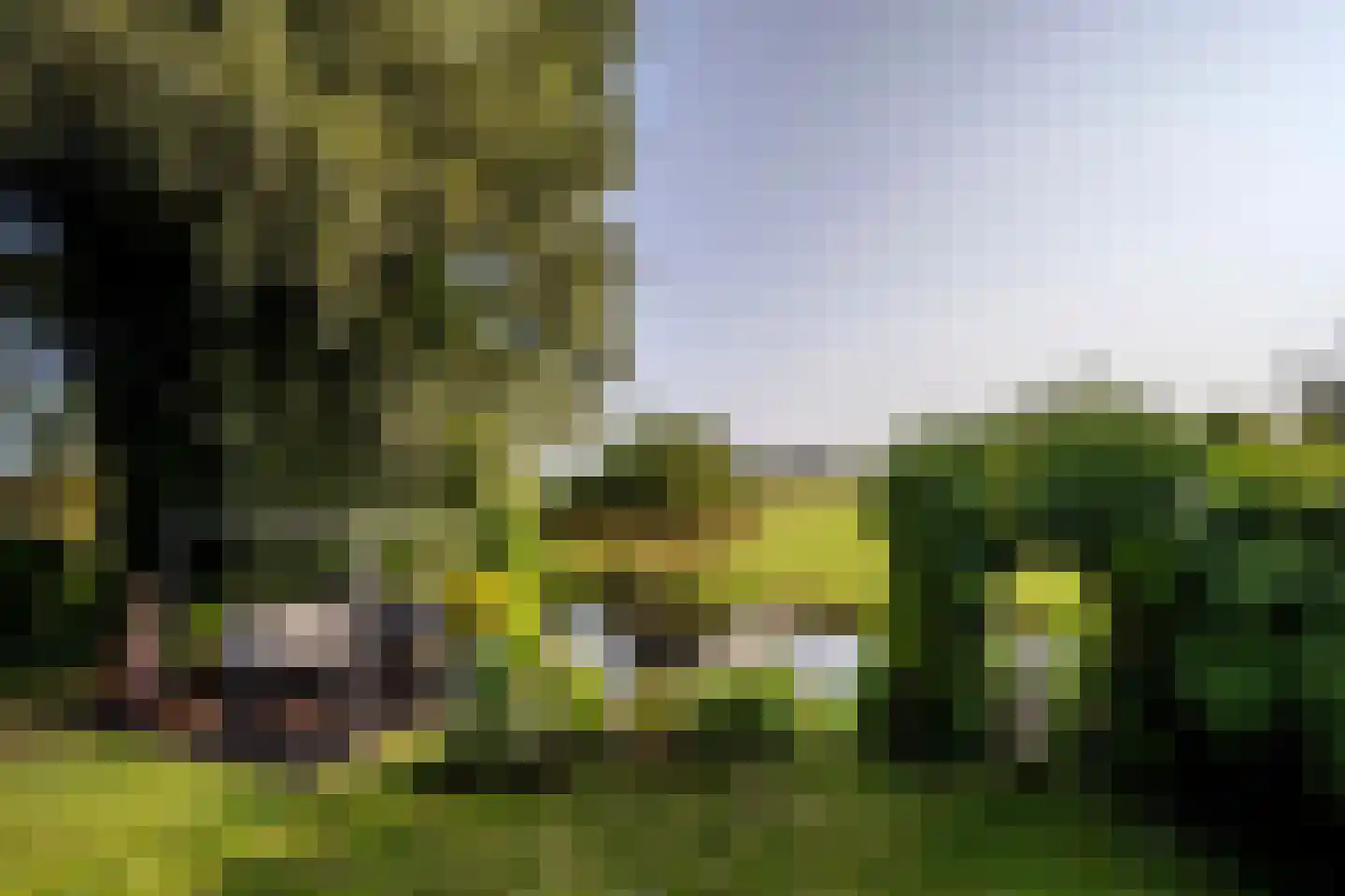 Amsterdamsestraatweg 81 Naarden thumbnail 50