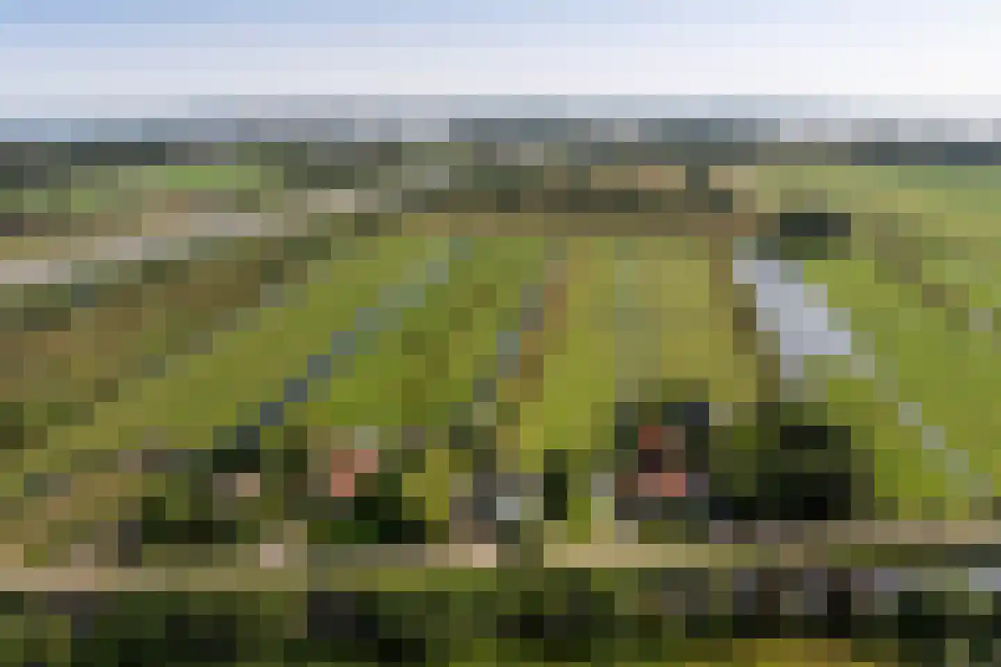 Amsterdamsestraatweg 81 Naarden thumbnail 53