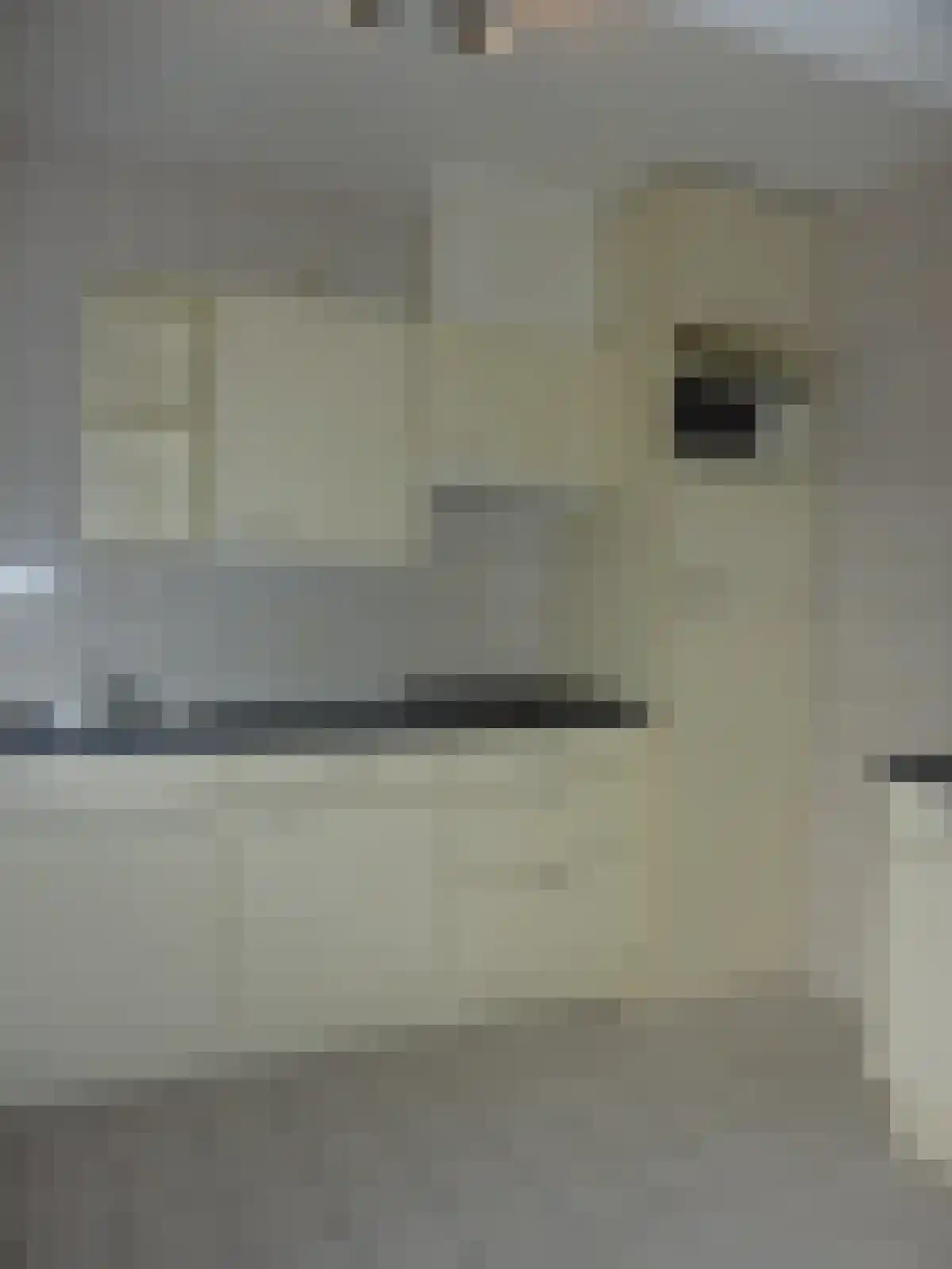 Amsterdamsestraatweg 815 Utrecht thumbnail 4