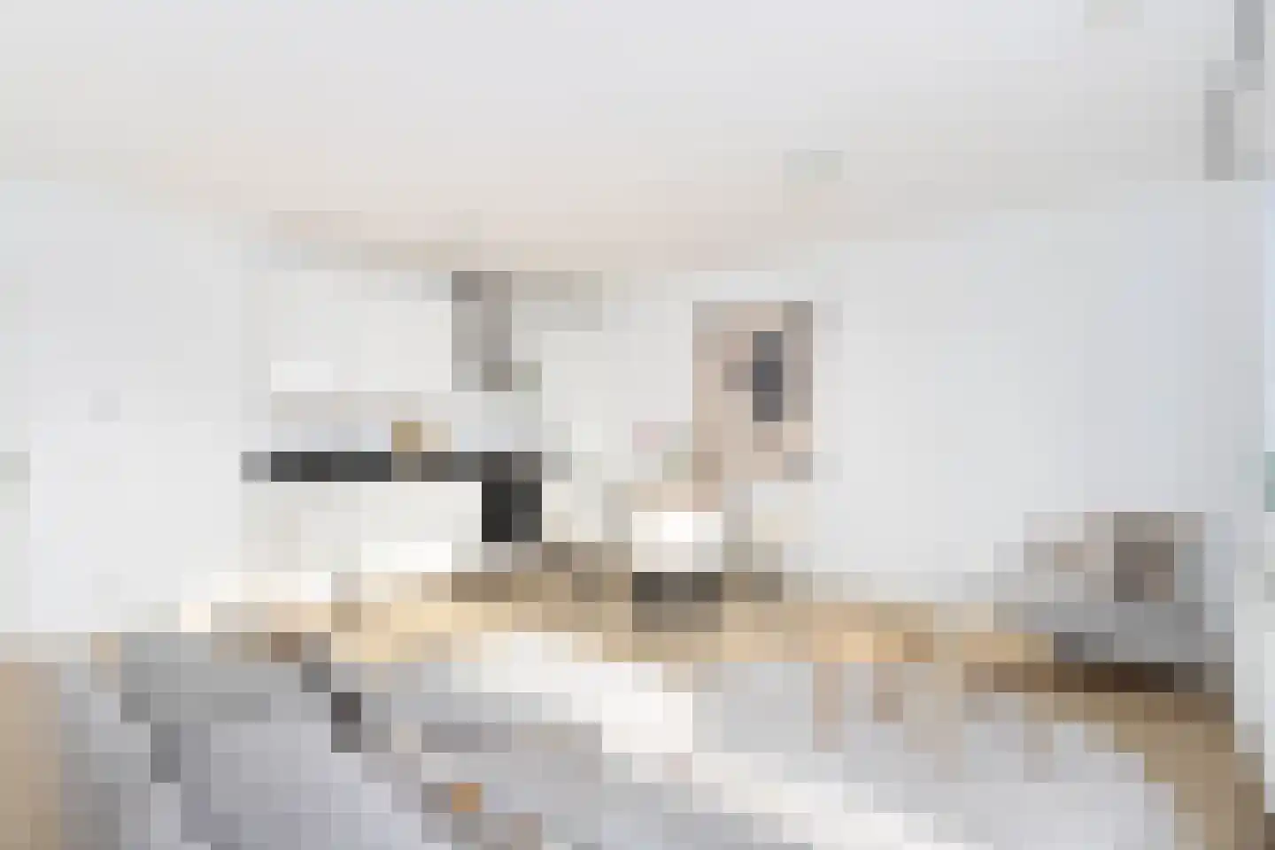 Amsterdamsestraatweg 831 L Utrecht thumbnail 5