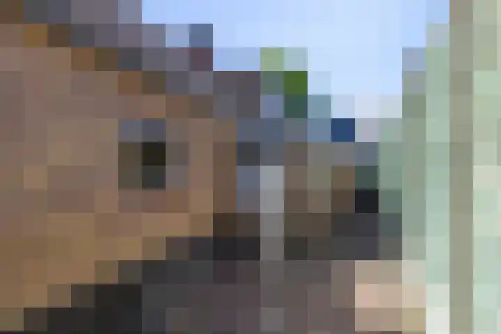 Amsterdamsestraatweg 849 Utrecht thumbnail 28