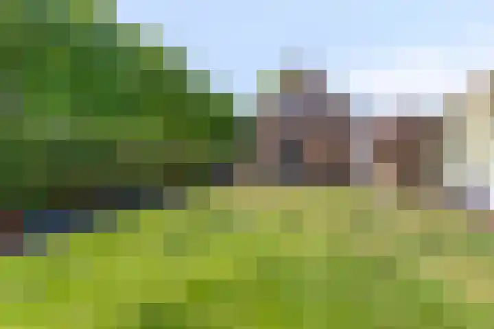 Amsterdamsestraatweg 849 Utrecht thumbnail 33