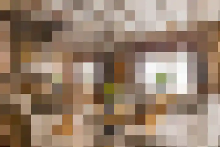 Amsterdamsestraatweg 849 Utrecht thumbnail 9