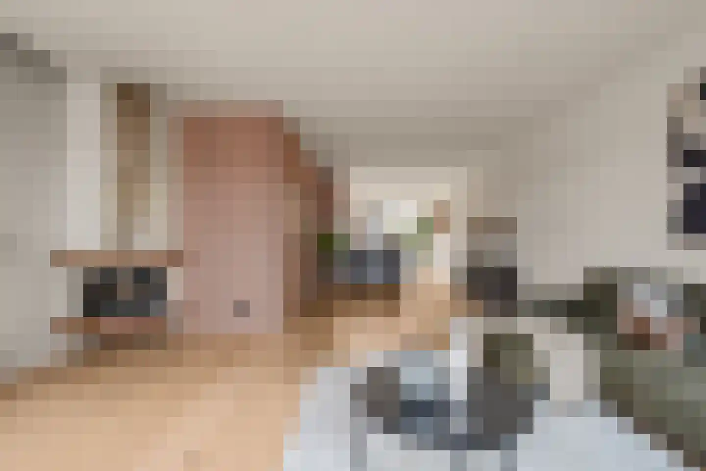 Amsterdamsestraatweg 969 Utrecht thumbnail 4