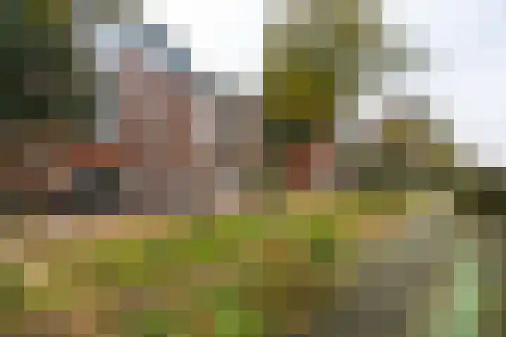 Amsterdamsevaart 120 Haarlem thumbnail 26