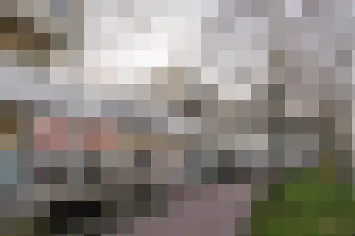 Amsterdamsevaart 20 A Haarlem thumbnail 24