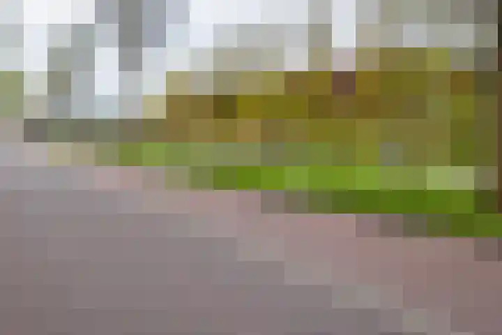 Amsterdamsevaart 32 Haarlem thumbnail 18