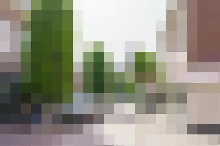 Amsterdamsevaart 8 A RD Haarlem thumbnail 35
