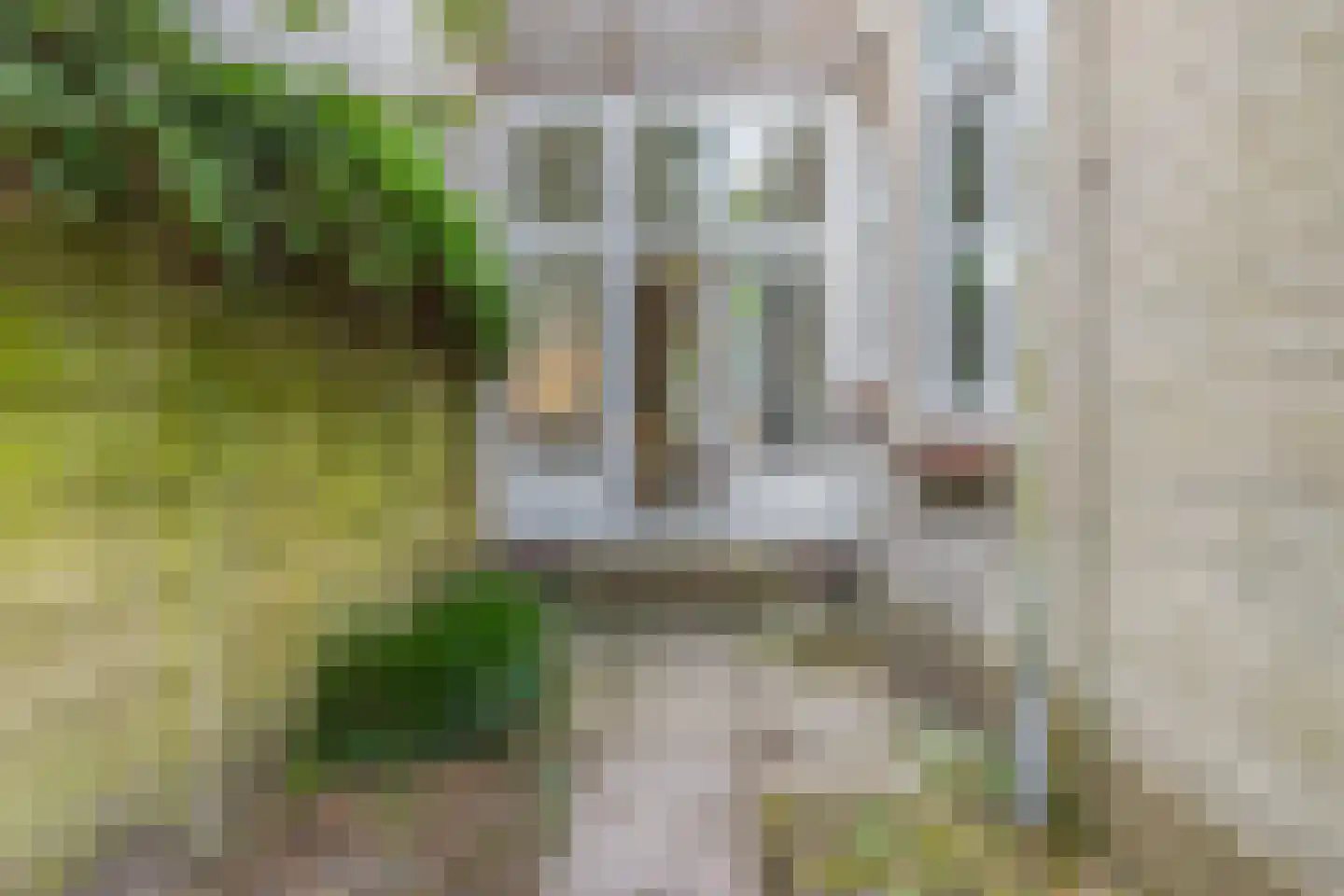 Amsterdamseweg 130 Arnhem thumbnail 22