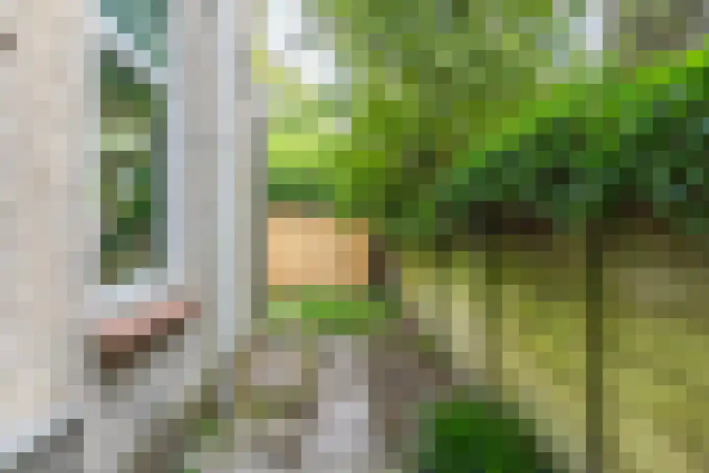 Amsterdamseweg 130 Arnhem thumbnail 23