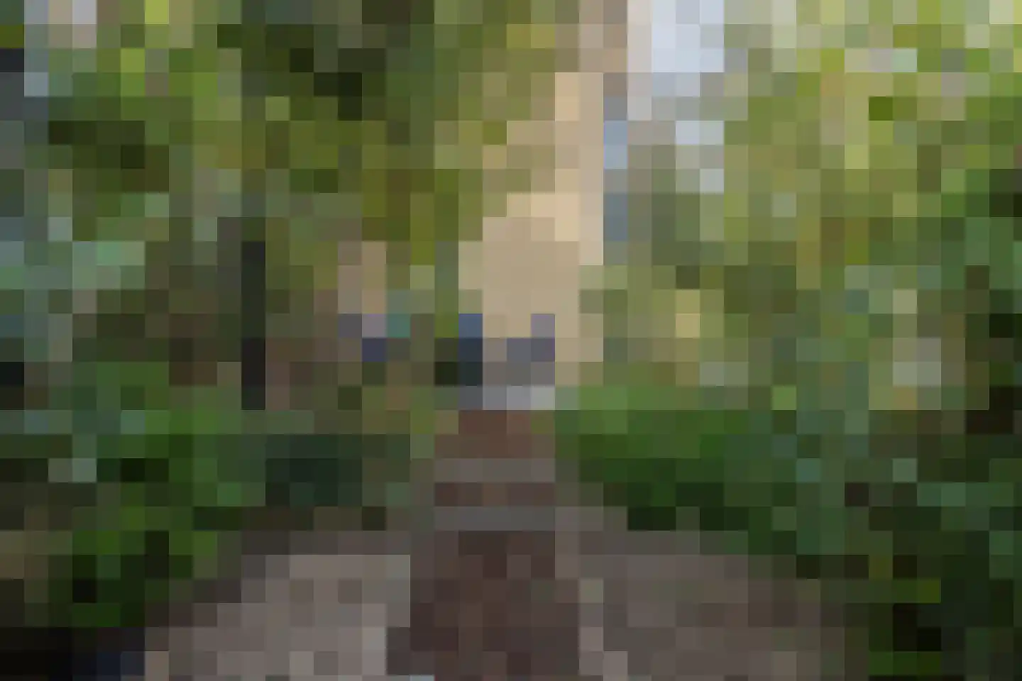 Amsterdamseweg 14 Arnhem thumbnail 14